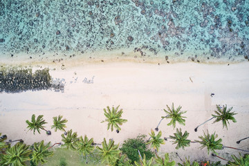 Aerial of palm trees and blue water with coral reef on Coral Coast, Fiji - obrazy, fototapety, plakaty