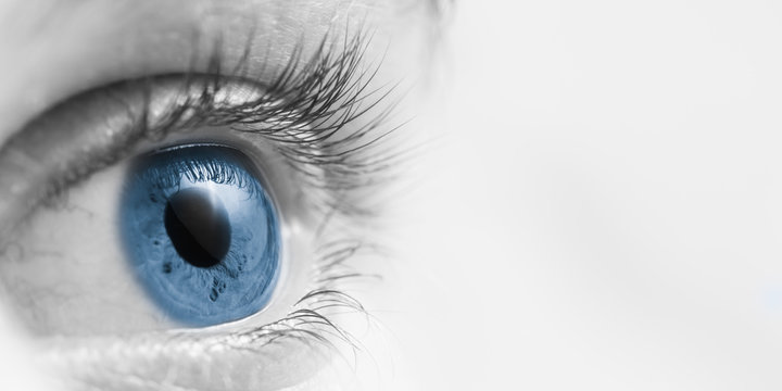 Blue Eyeball/ Vision Concept