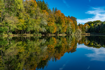 Der Herbstwald spiegelt sich im Wasser eines Weihers
