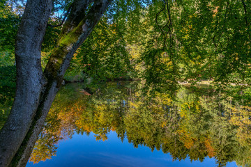 Bunte Herbstbäume spiegelt sich in einem See