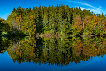 Herbstwald im Sonnenlicht mit Spiegelung im See