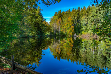 Ein herbstlicher Wald spiegelt sich im Wasser eines Sees