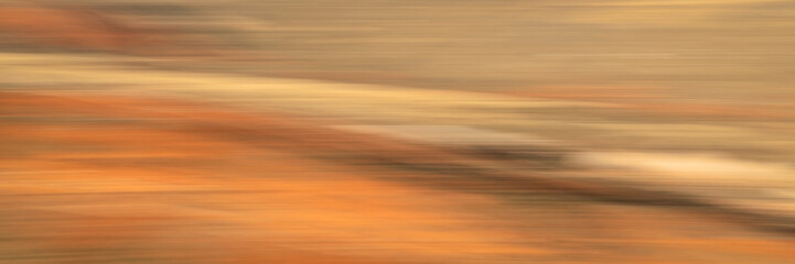 Fototapeta premium nature motion blur abstract