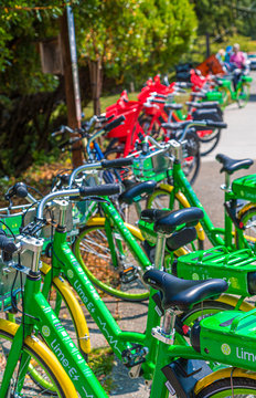 Green and Red Rental Bikes