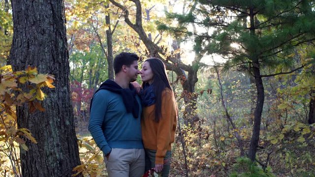 Attractive young man and woman in love are posing, kissing and bursting out laughing in beautiful sunny autumn forest