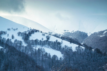 Beautiful winter landscape with snow on the trees