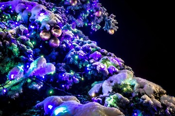 Fototapeta na wymiar Christmas tree with Christmas decorations