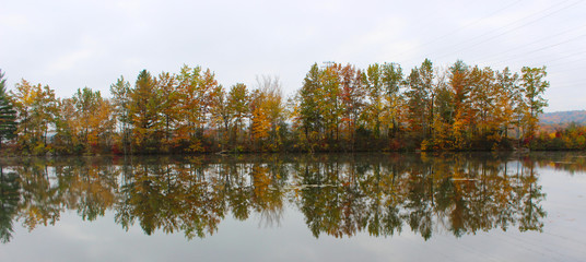 Reflection on pond in fall