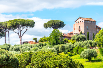 Fototapeta na wymiar Palatine hill with umbrella pines on sunny summer day. Panoramic view. Rome, Italy