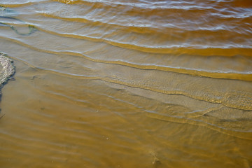shore of the iodized healing lake with brown water in the middle of the steppe