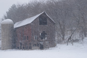 old barn in winter © Sherri Leath
