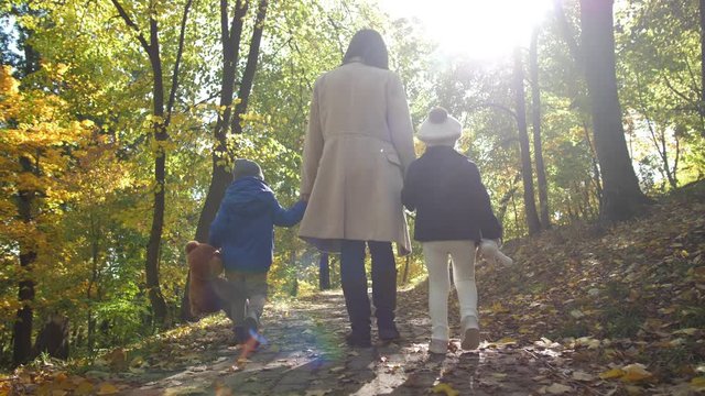 Rear view of mother walking together with little kids along park alley covered with autumn fallen leaves. Happy mom, toddler boy and special needs girl spending family leisure in nature on sunny day