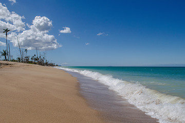 Caribbean Shoreline