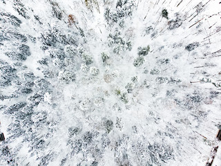 Beautiful aerial view of snow covered pine forests. Rime ice and hoar frost covering trees. Scenic winter landscape in Vilnius, Lithuania.