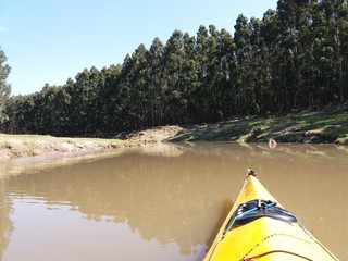 Kayak en el rio mirando hacia la costa con árboles.