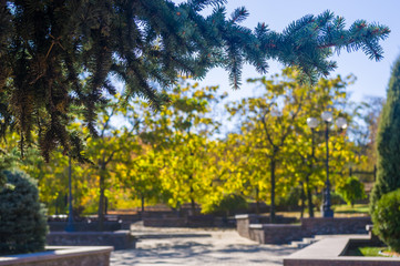 Autumn urban landscape on a Sunny day - yellow autumn trees in the Park, colorful red and orange leaves, and bright sky with clouds