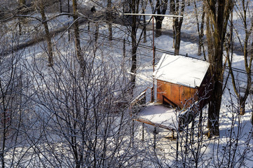 Winter urban frosty landscape - snow covered trees on foggy background