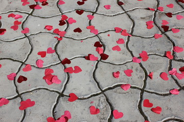 pavement covered with colorful confetti