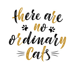 There are no ordinary cats handwritten sign. Modern brush lettering. Slogan about cat. Cat lover. Textured phrase for poster design, postcard, t-shirt print or mug print. Vector isolated illustration