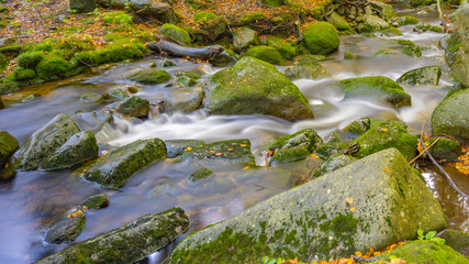 stream in the forest, long exposure