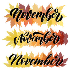 November, set of three script hand written compositions with decorative maple leaves elements. Hand drawn brush lettering for autumn events, posters, and banners. Vector.
