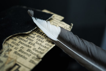 Black and White Feather on an Old Books against Black Background.