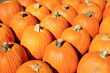 Display of round orange pumpkins at the farmers market in the fall