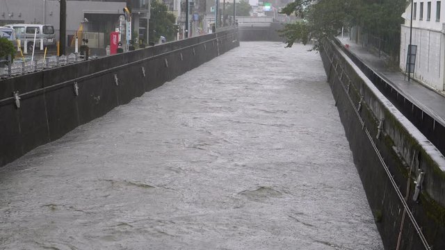 豪雨　河川　2019年　台風19号　東京　神田川　4K　音声有