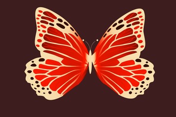 butterfly isolated on white background