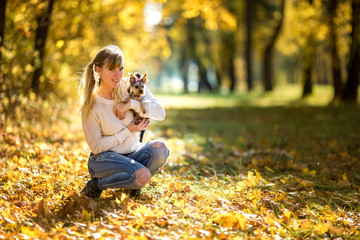Fototapeta premium girl sits on the ground in the autumn forest and plays with Yorkshire Terrier small dog