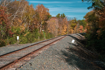 Railroad train tracks in rural Minnesota during the fall on a sunny autumn day