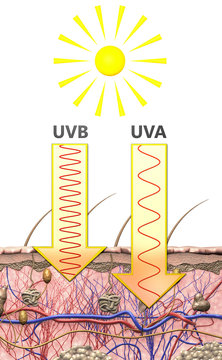 Illustrative representation of the difference in wavelength of ultraviolet radiation of type a and b in sunlight- 3d illustration