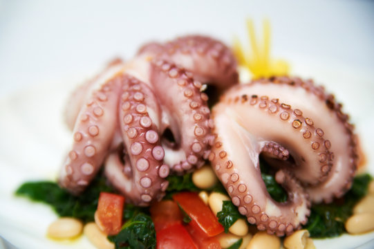 grilled octopus