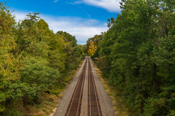 Train Tracks in the forest