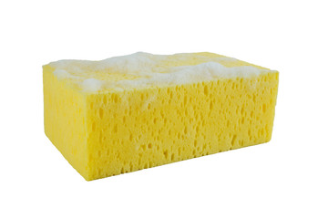 Bath Sponge concept.