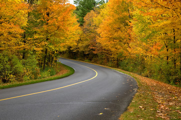 Beautiful Curved Country Road during Fall Season in Gatineau Park Quebec Canada