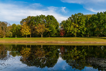 Obraz premium lake in the park
