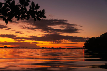 Sunset mangroves on the beach Florida seascape