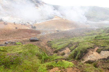 Iceland's Geo Thermal Area 