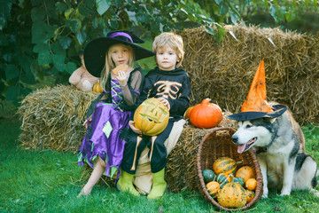 Halloween kids holidays concept. Happy Halloween, cute toddler girl and boy playing outdoors....
