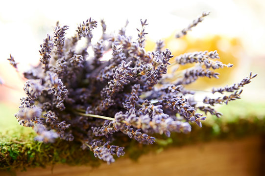 bunch of lavender on wooden background