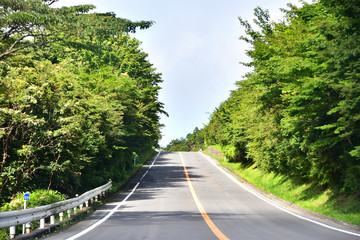 箱根の峠道