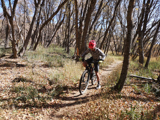 Naklejka premium Asian guy cycling around Sardine Peak Trailhead
