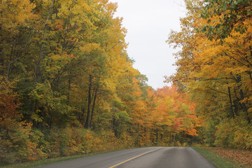 Fototapeta premium Beautiful and colorful Autumn landscape all over the mountain