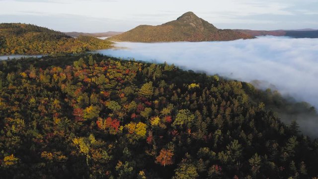 Stratus cloud over dense forestry Wilderness AERIAL 4K