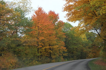 Beautiful and colorful Autumn landscape all over the mountain