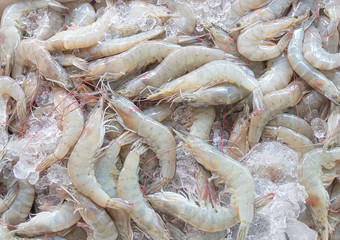 Fresh shrimps or prawns on Ice in the market for sell