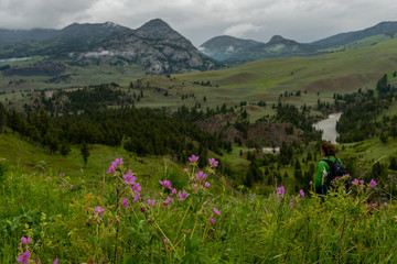 Pink Wildflowers in front of Woman Hiking