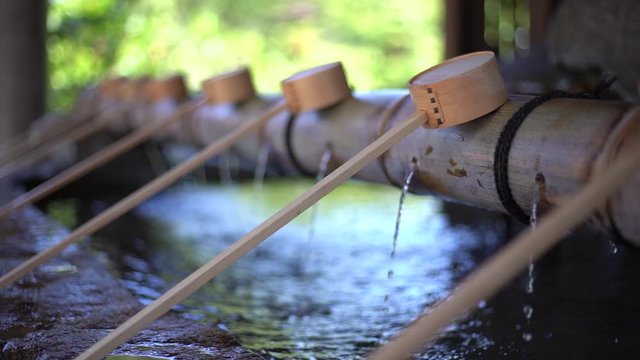 動画・神社・手水舎