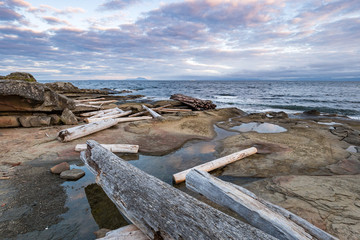 rocky coast line by the ocean with few drift wood laying on the surface under cloudy sky near dawn with a hint of pink colour